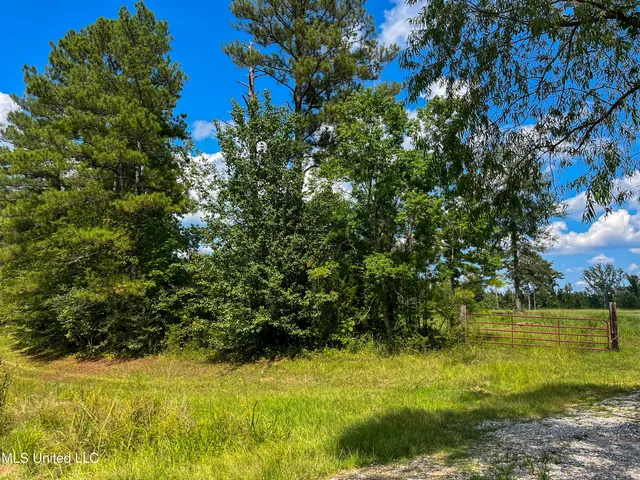 $396,000 | Ms-13, Morton, MS 39117