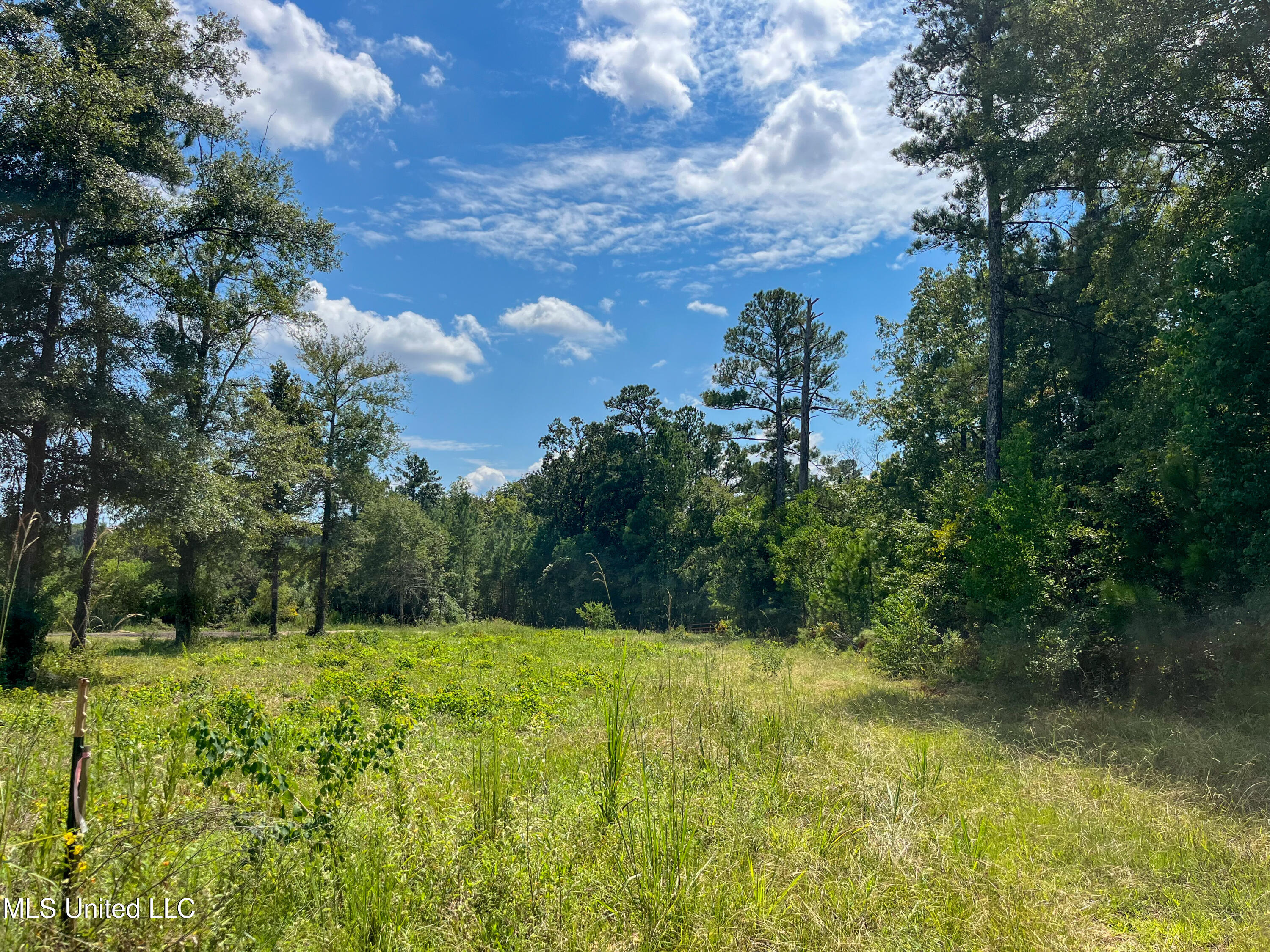 Ms-13 Morton, MS 39117 - Photo 10 of 45 IMG_0800