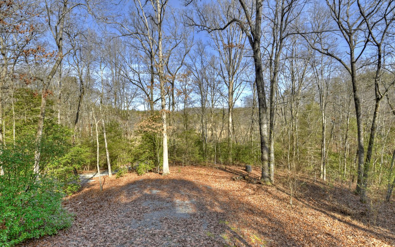 264 Sawmill Circle Blue Ridge, GA 30513 - Photo 38 of 39 a view of a forest with trees