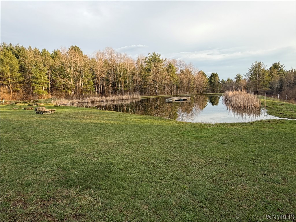 8547 West Hill Road Allen, NY 14711 - Photo 12 of 41