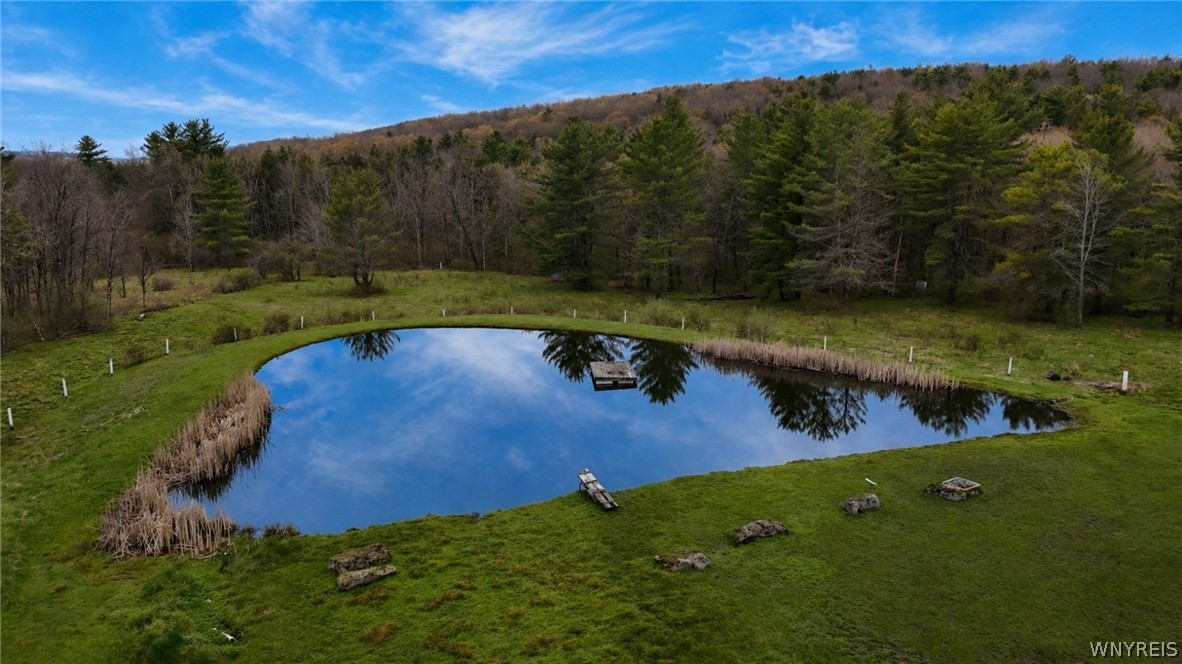 8547 West Hill Road Allen, NY 14711 - Photo 5 of 41 Pond on the property