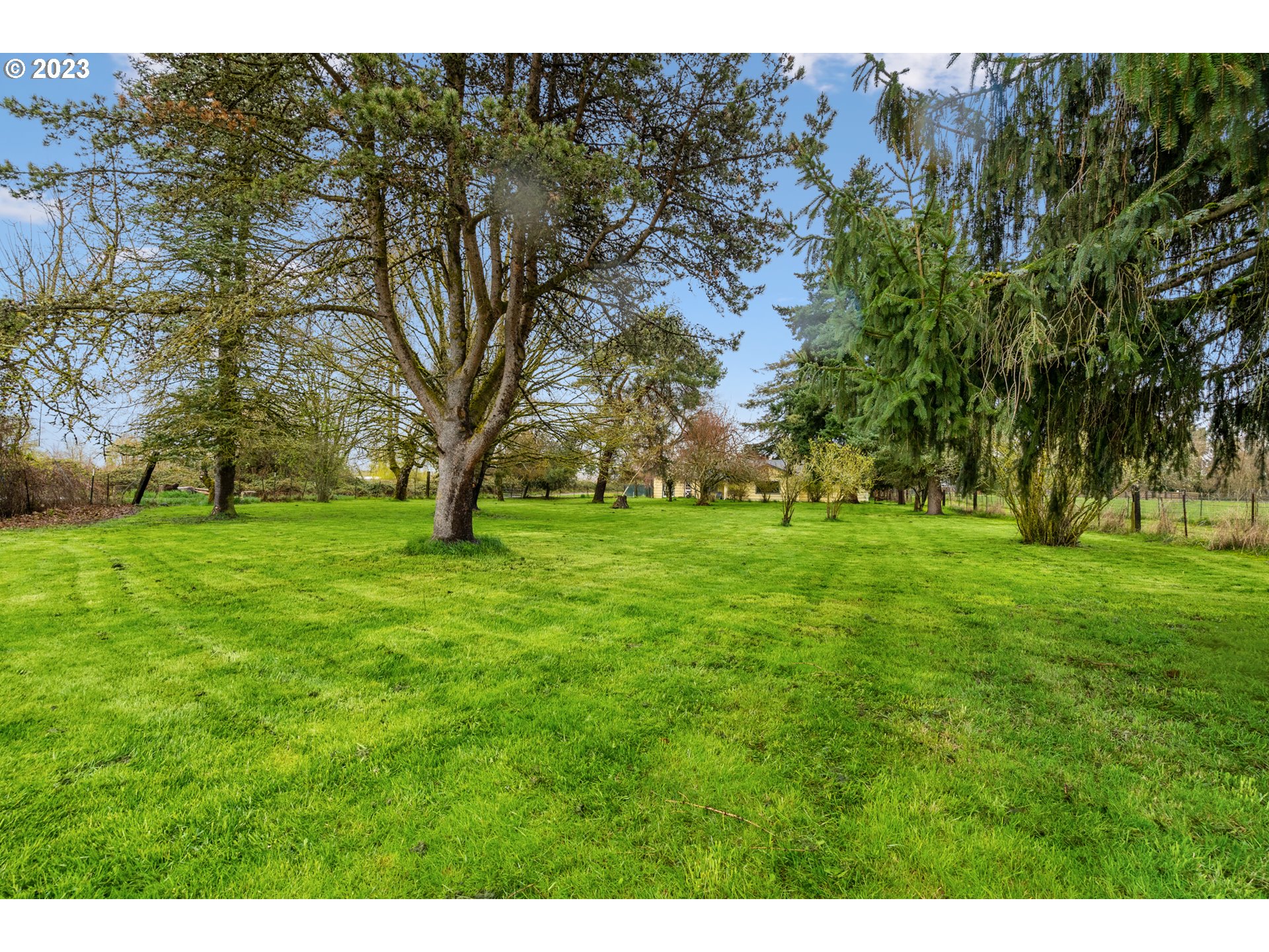 15200 Northwest Gillihan Road Portland, OR 97231 - Photo 40 of 42 a view of yard with trees