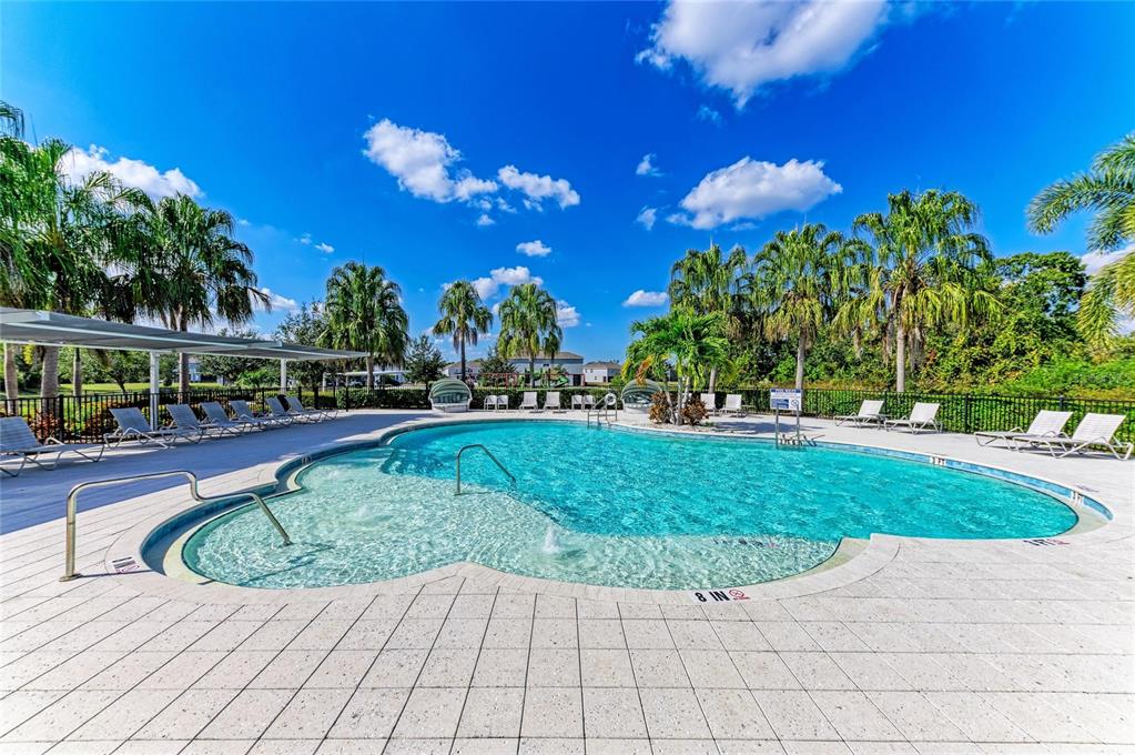 11637 Woodleaf Drive Lakewood Ranch, FL 34211 - Photo 43 of 54 a view of a swimming pool with big yard