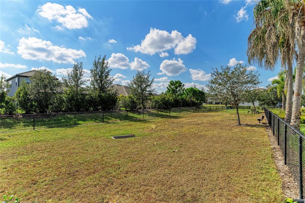 11637 Woodleaf Drive Lakewood Ranch, FL 34211 - Photo 46 of 54 a view of a fountain in the backyard of a house