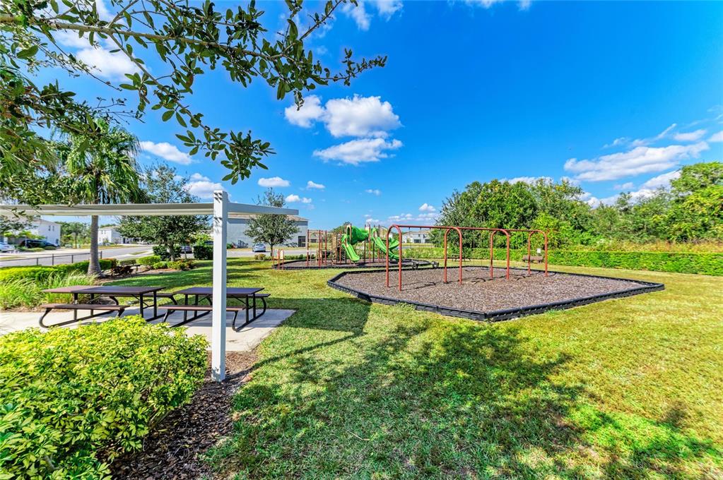 11637 Woodleaf Drive Lakewood Ranch, FL 34211 - Photo 50 of 54 a view of a swimming pool with a yard