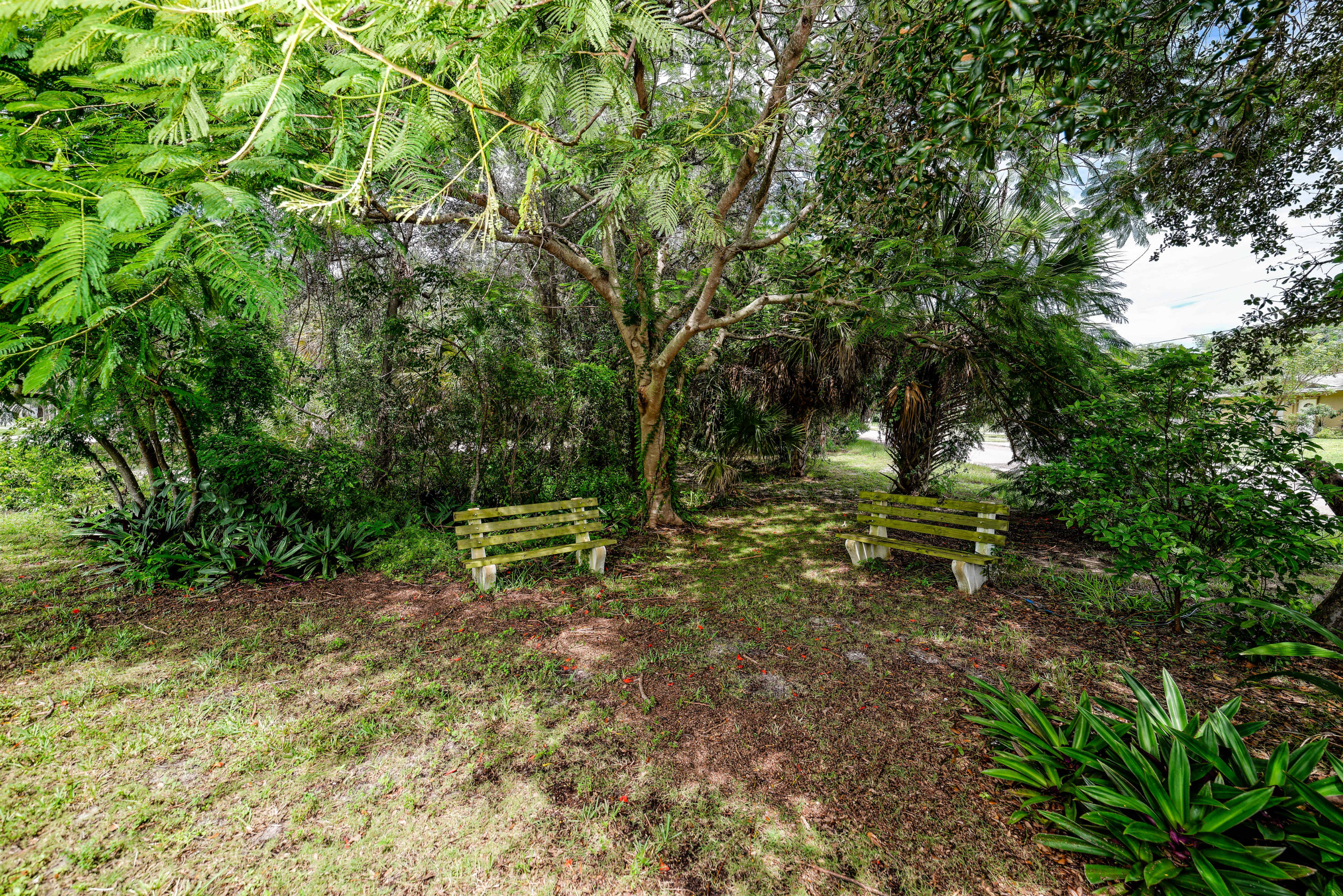 3621 Northwest 3rd Avenue Boca Raton, FL 33431 - Photo 36 of 43 poinciana shade RTW_8734_DxO