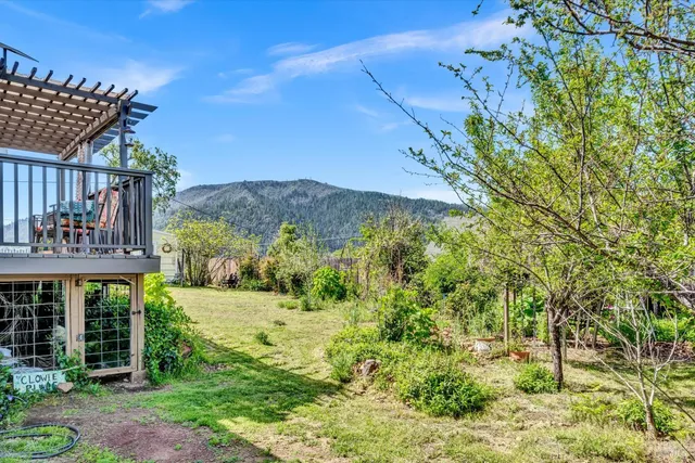 a view of a back yard