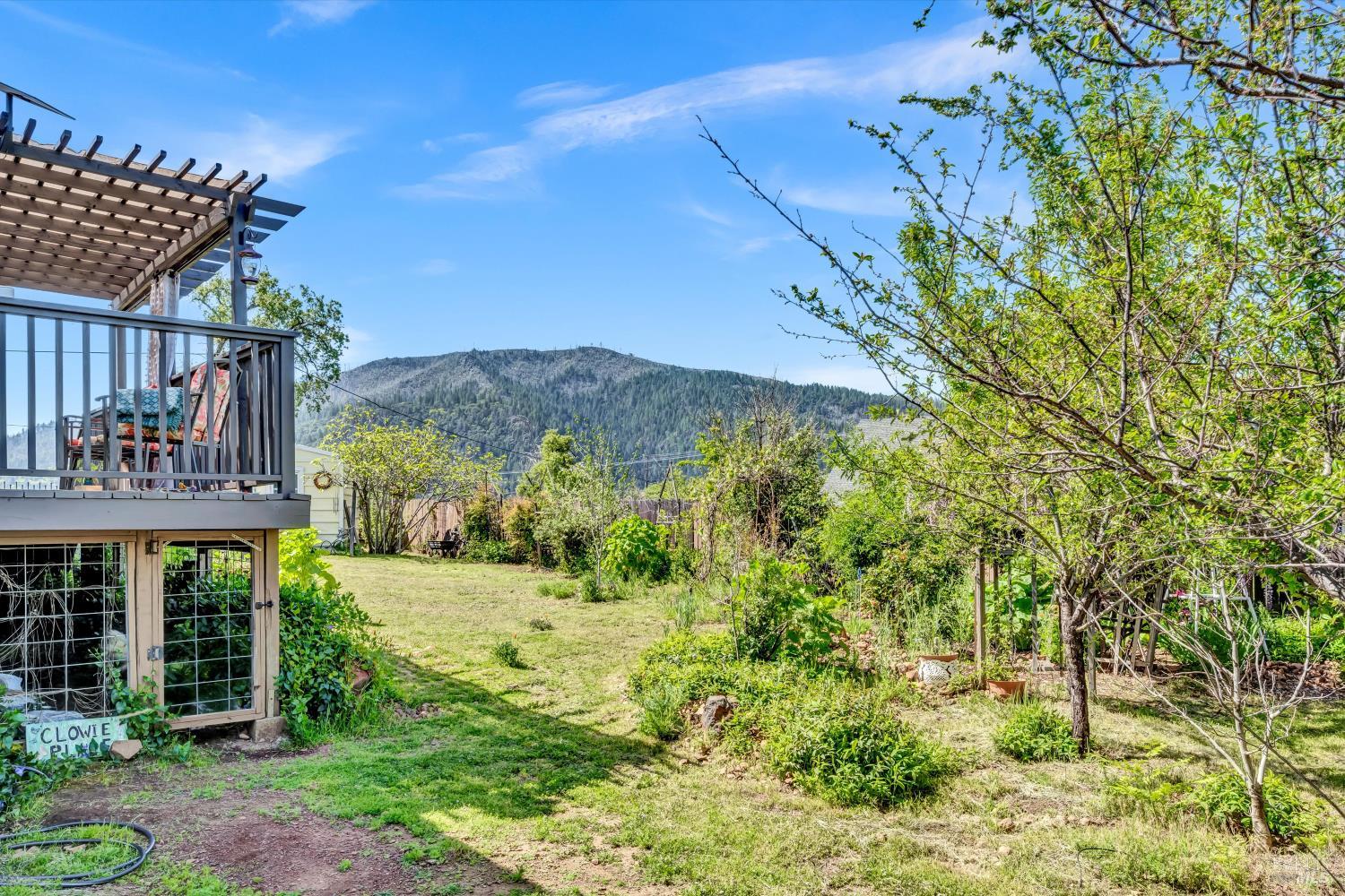 15314 Summit Boulevard Cobb, CA 95426 - Photo 21 of 29 a view of a back yard