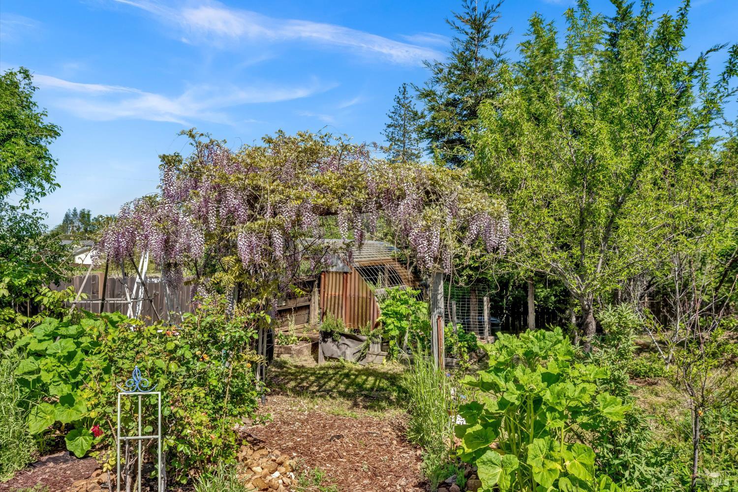 15314 Summit Boulevard Cobb, CA 95426 - Photo 24 of 29 a view of a garden with plants and a building in the background