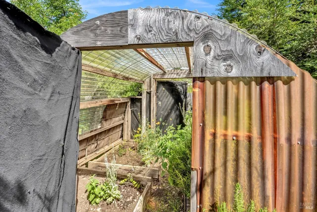 a view of a backyard with pathway