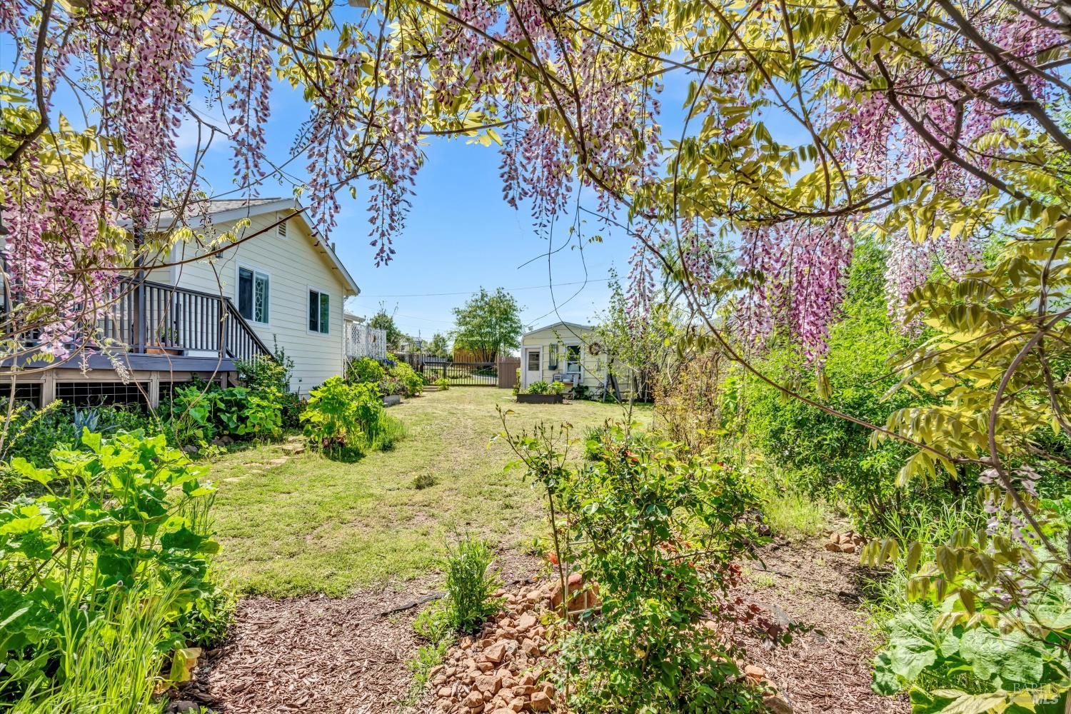 15314 Summit Boulevard Cobb, CA 95426 - Photo 26 of 29 a view of a yard in front of house
