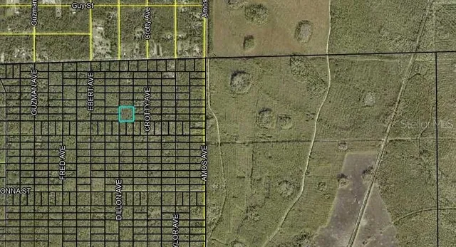 $25,000 | 0 Dillon Avenue, Hastings, FL 32145