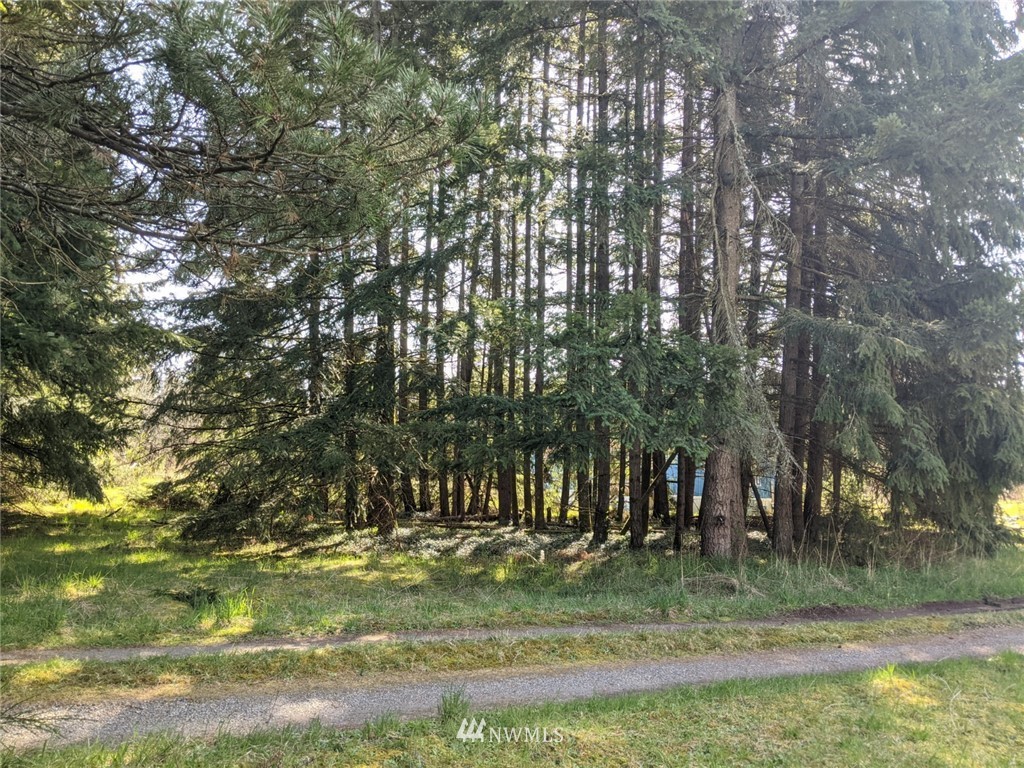 18707 Ivan Street Southwest Rochester, WA 98579 - Photo 19 of 26