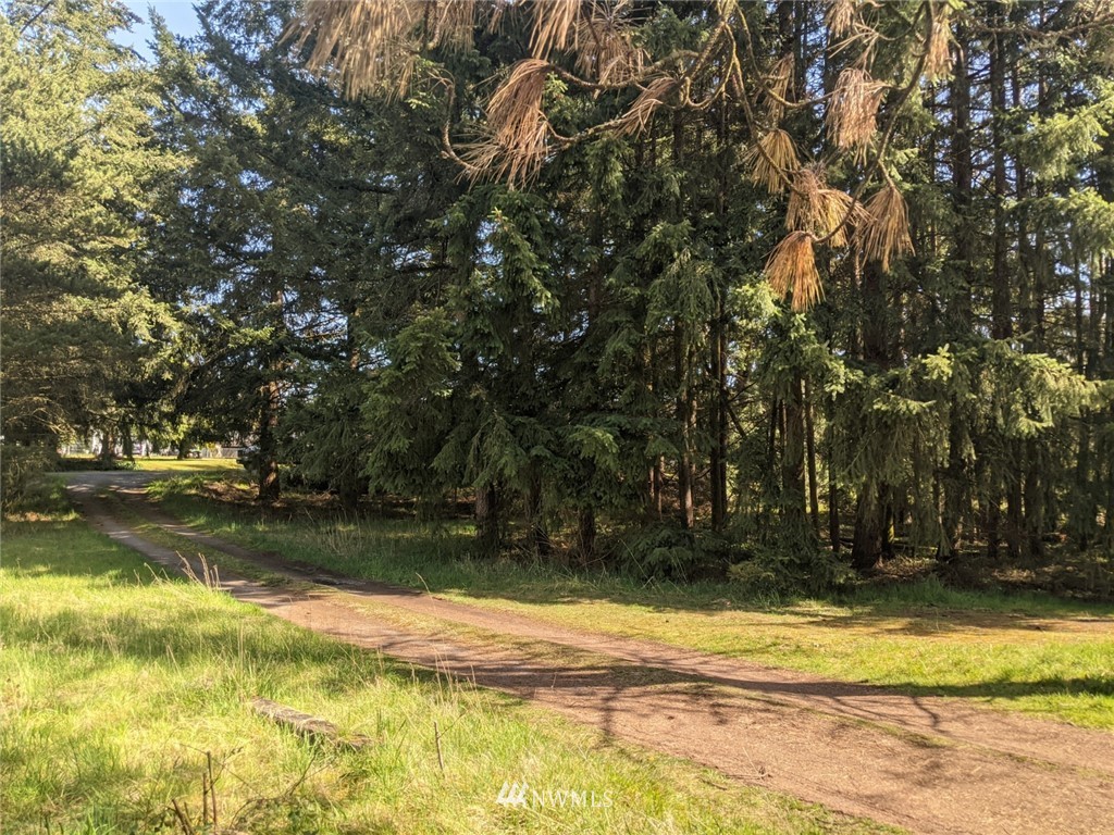18707 Ivan Street Southwest Rochester, WA 98579 - Photo 20 of 26