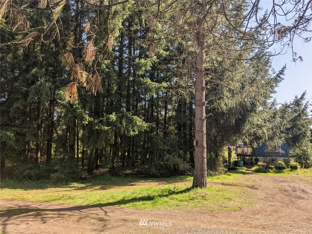 18707 Ivan Street Southwest Rochester, WA 98579 - Photo 22 of 26