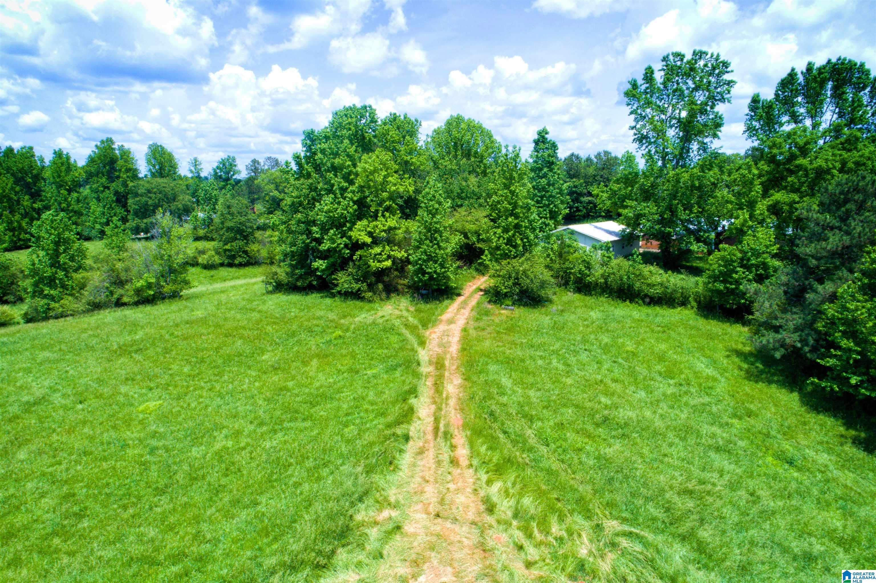 280 County Road 63 Ranburne, AL 36273 - Photo 35 of 43