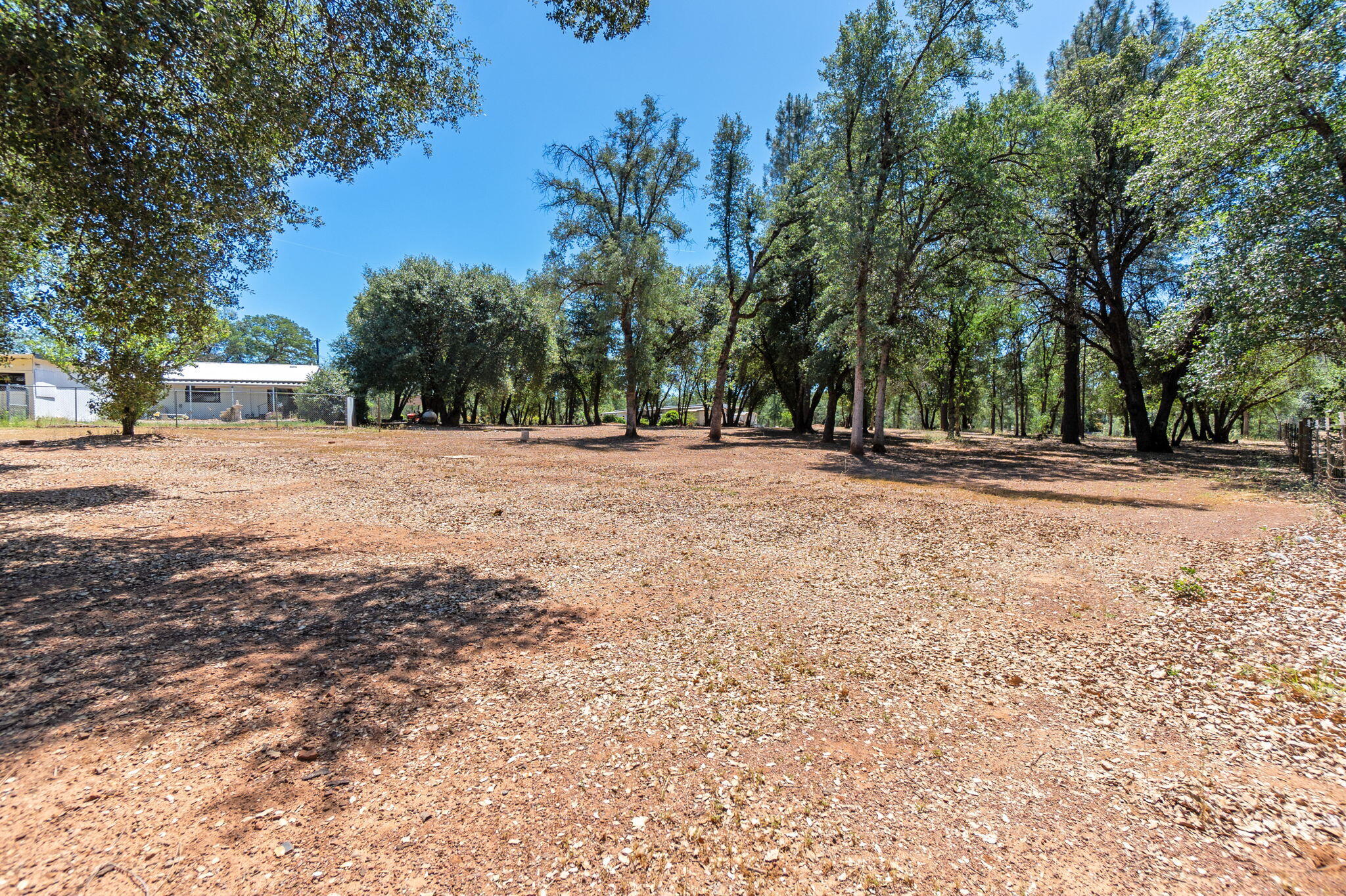 10390 October Lane Redding, CA 96003 - Photo 53 of 94 yard