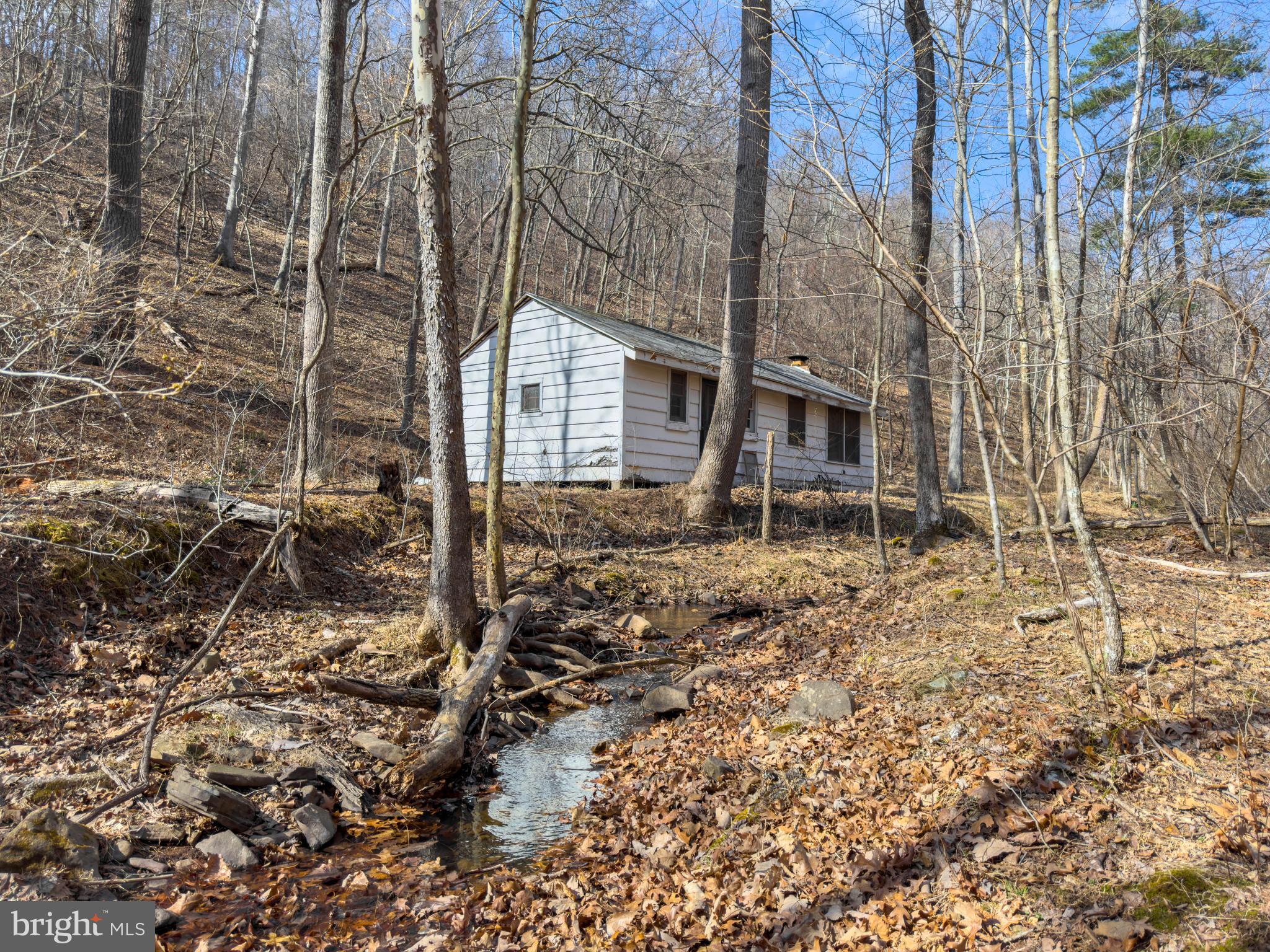 Carroll Road Little Orleans, MD 21766 - Photo 13 of 25