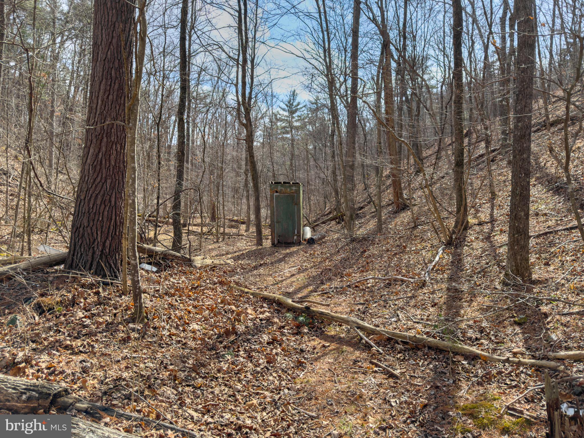 Carroll Road Little Orleans, MD 21766 - Photo 23 of 25