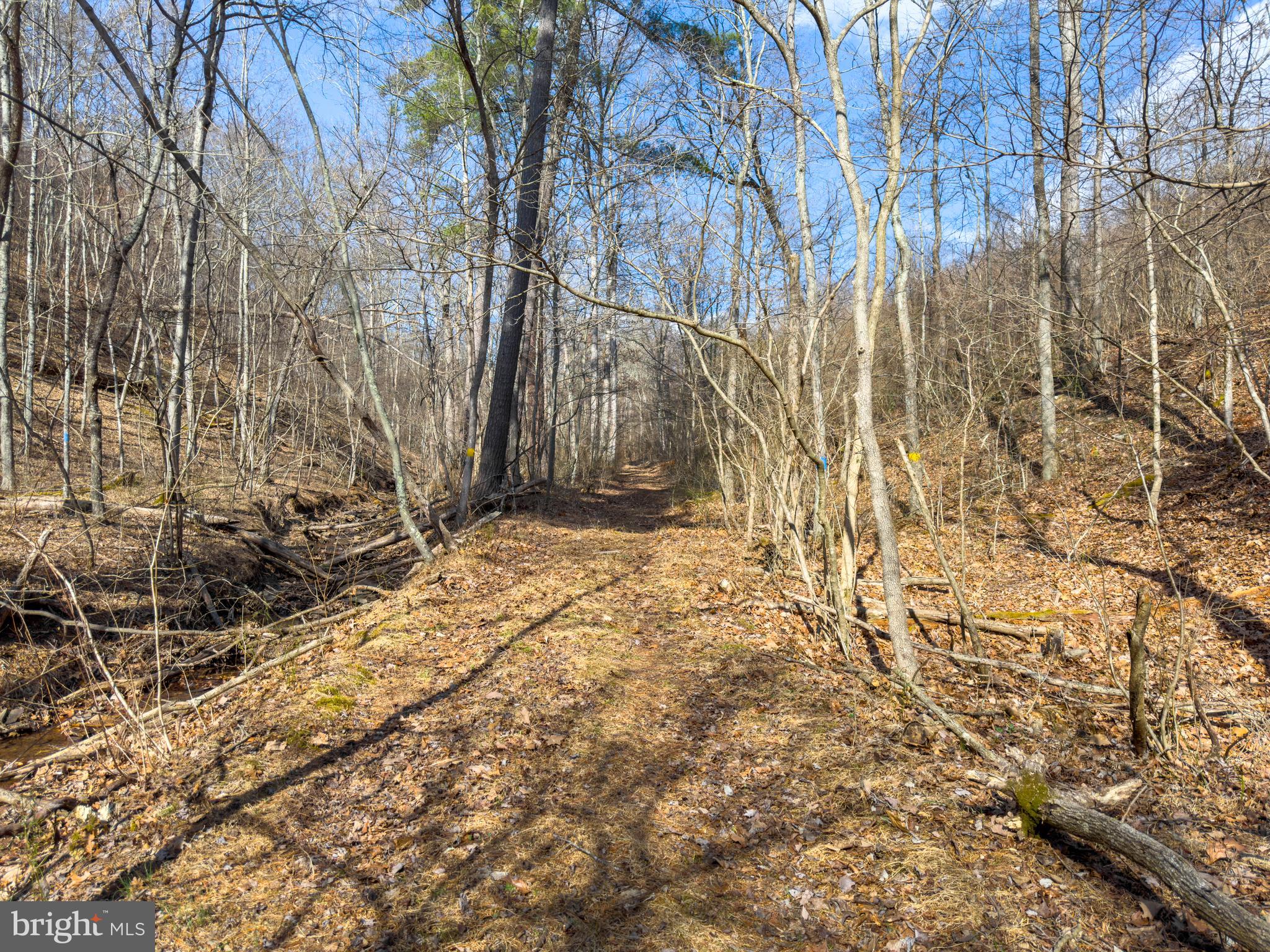 Carroll Road Little Orleans, MD 21766 - Photo 25 of 25