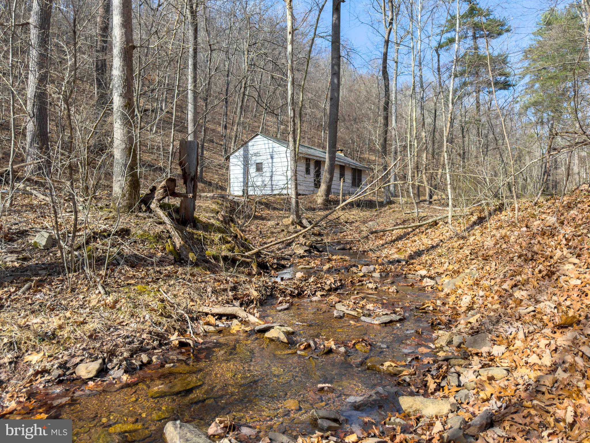 Carroll Road Little Orleans, MD 21766 - Photo 3 of 25