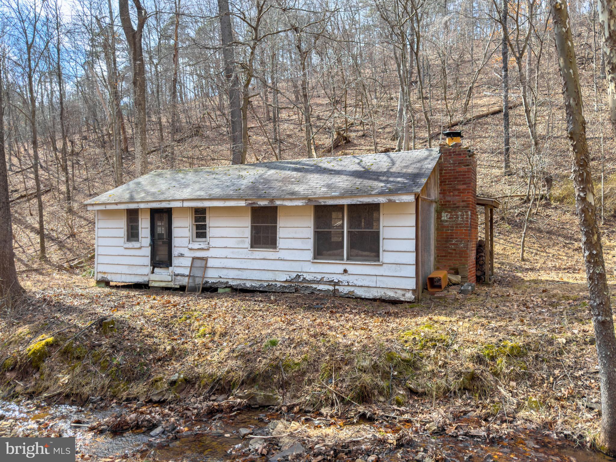 Carroll Road Little Orleans, MD 21766 - Photo 4 of 25