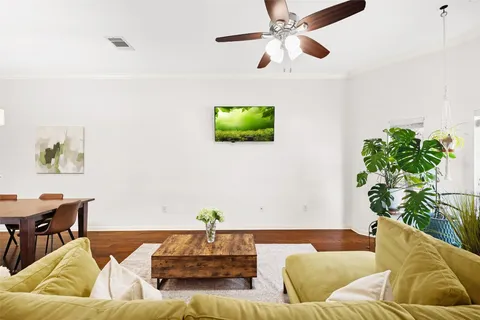 a living room with furniture and a potted plant