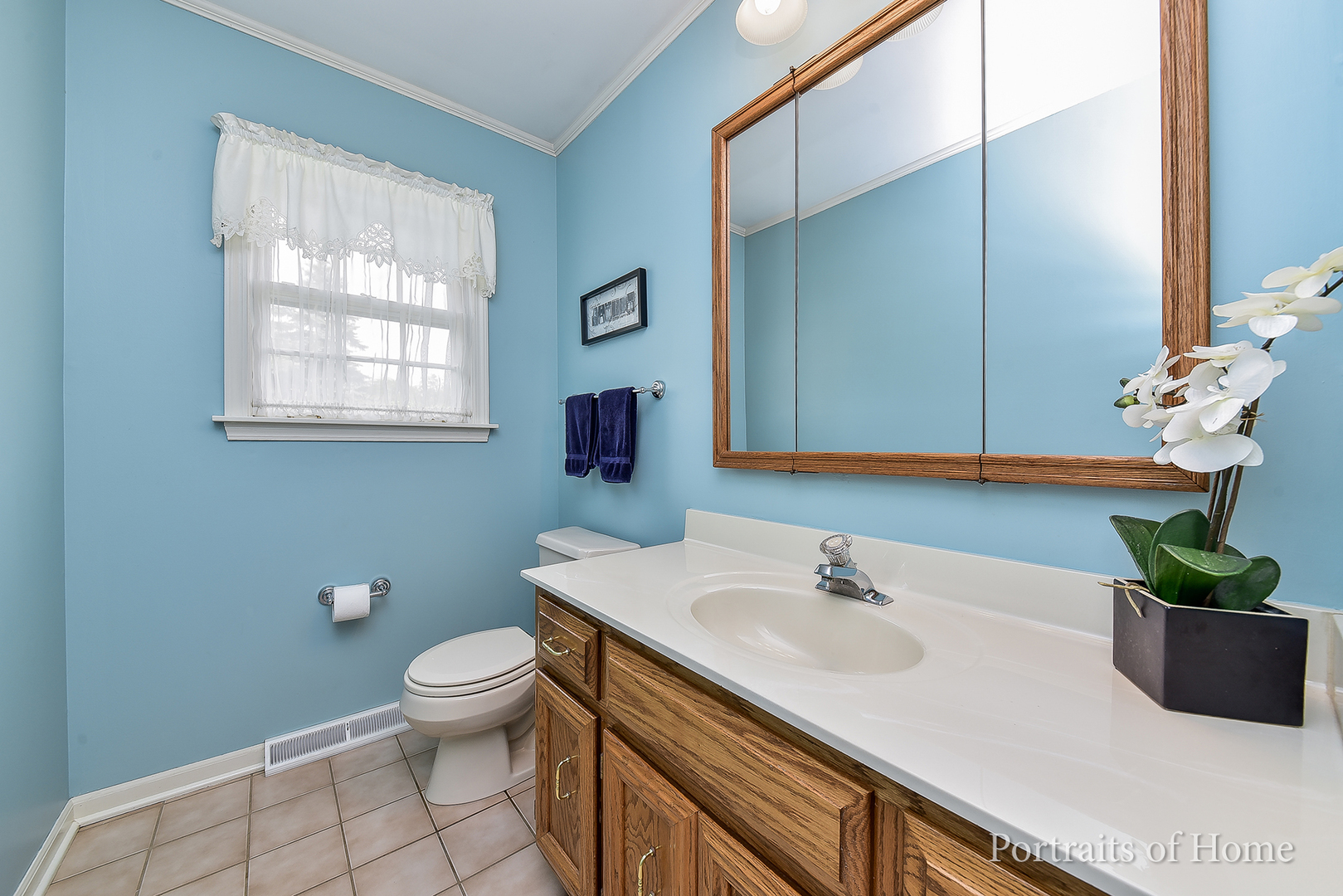 29 Christina Circle Wheaton, IL 60189 - Photo 9 of 28 a bathroom with a sink a toilet and a mirror