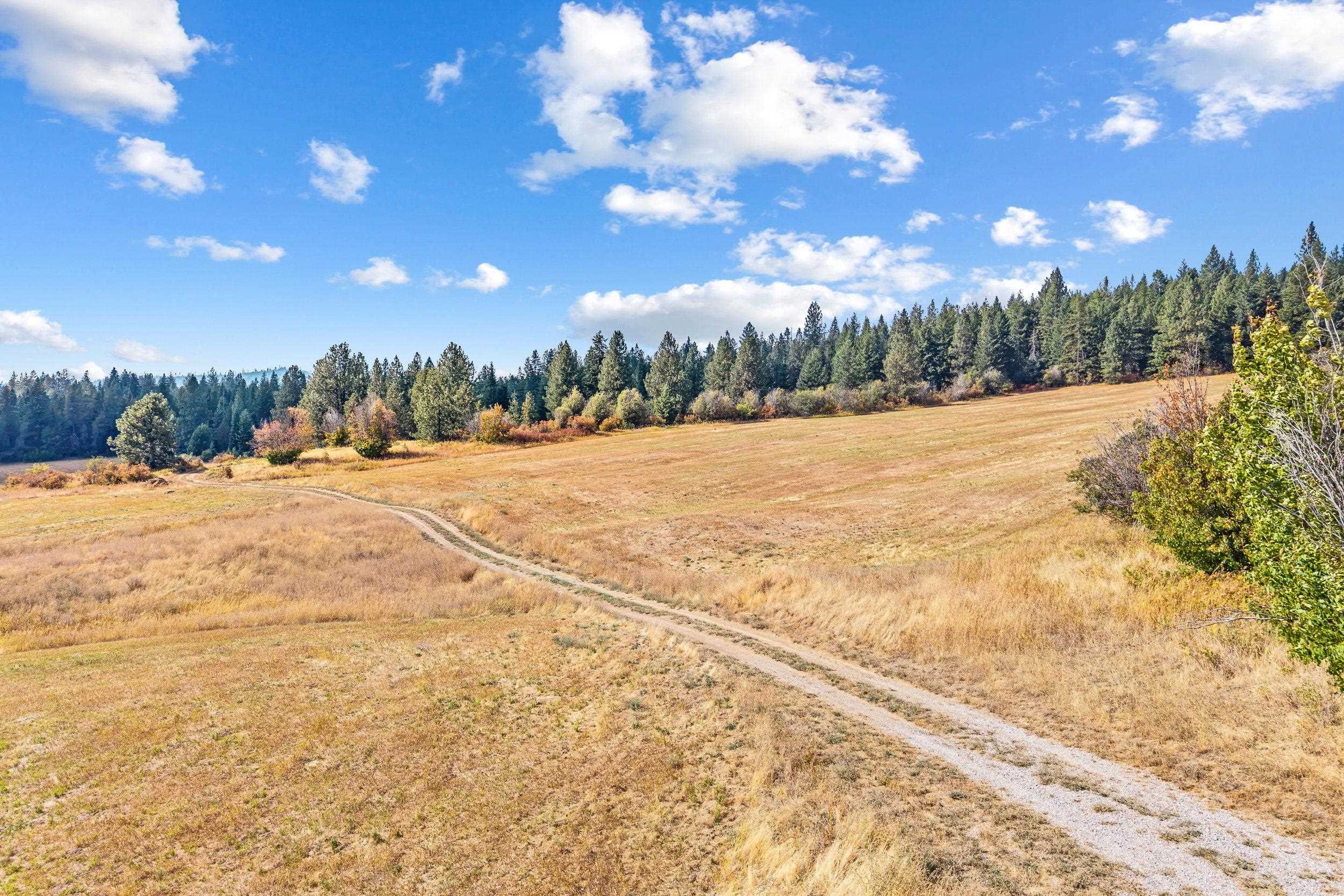 Nkn Nkn Kirkpatrick Road Veradale, WA 99037 - Photo 11 of 37 Gallery Image 11