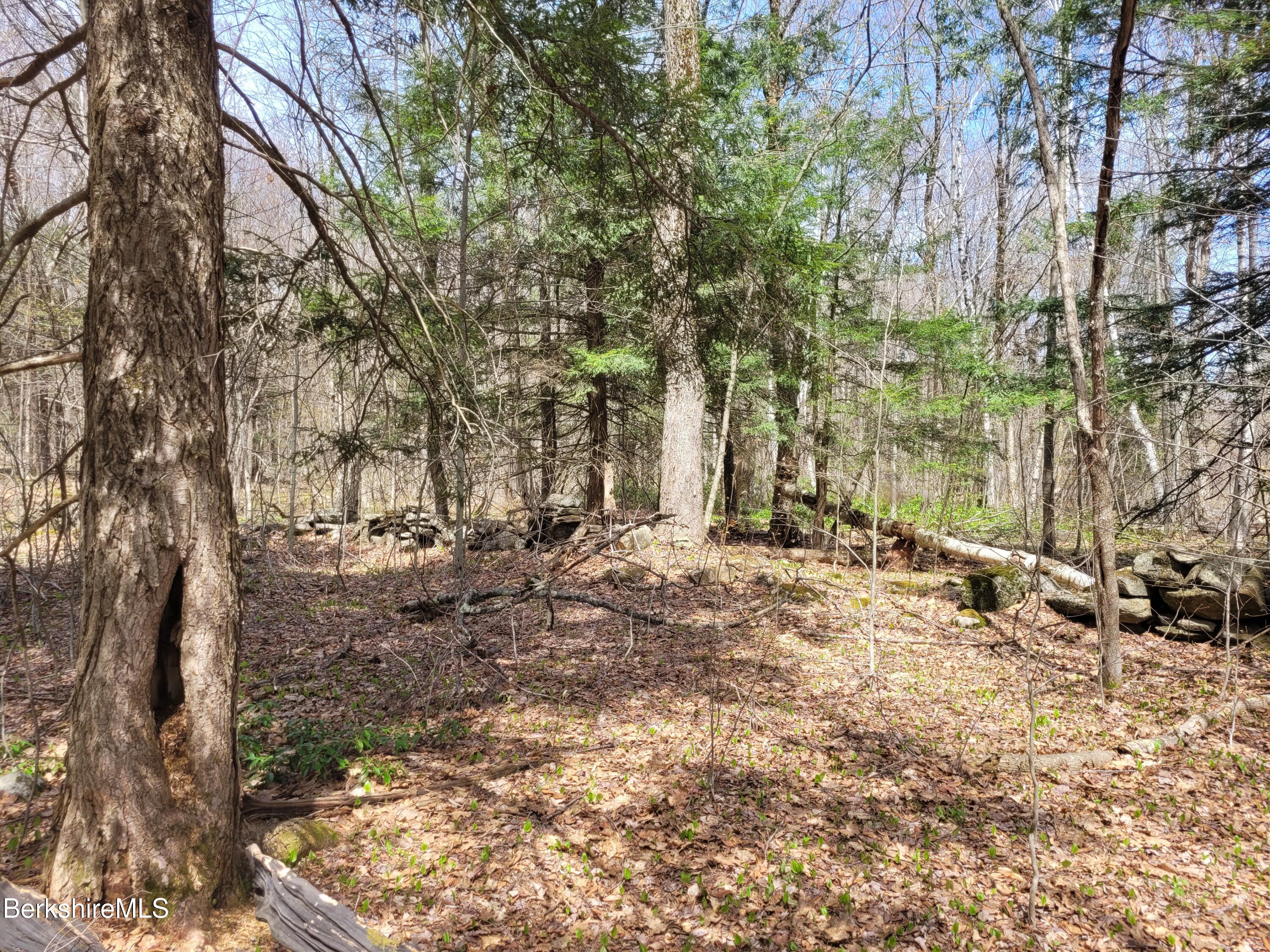 Lot 3 Town Hill Road Sandisfield, MA 01255 - Photo 12 of 16 a backyard of a house with lots of green space