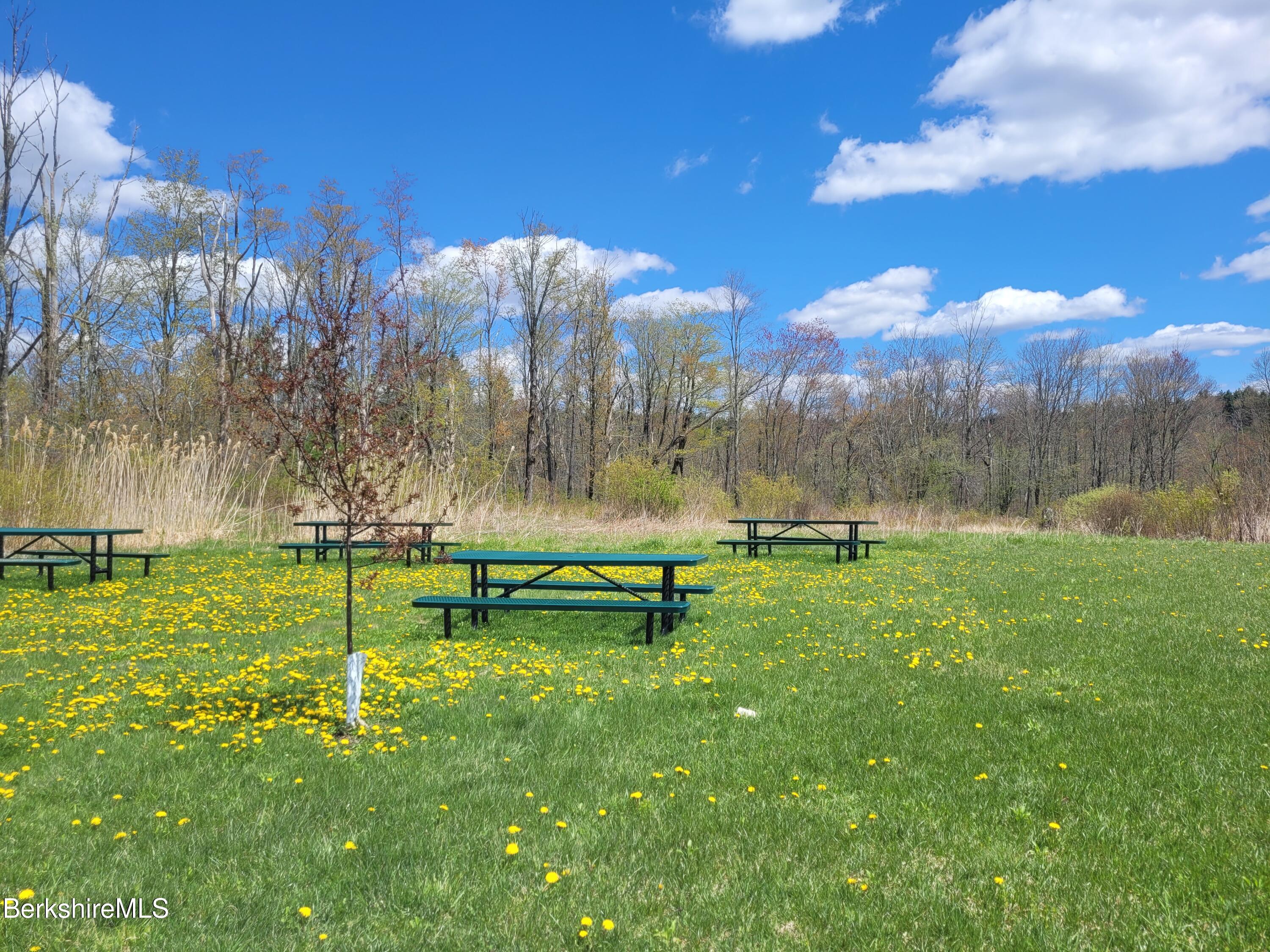 Lot 3 Town Hill Road Sandisfield, MA 01255 - Photo 15 of 16 a view of a park