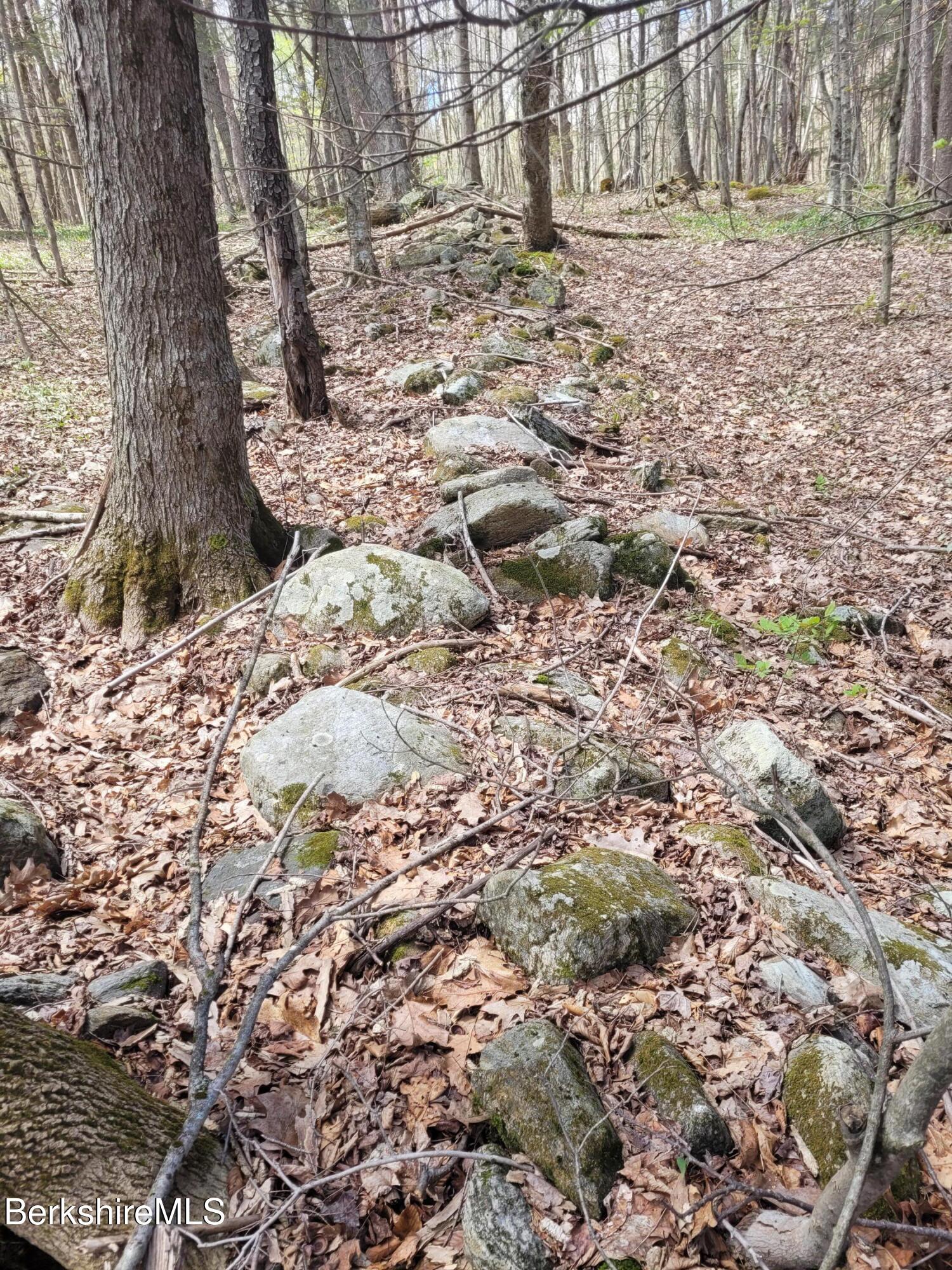 Lot 3 Town Hill Road Sandisfield, MA 01255 - Photo 5 of 16 a view of a yard with a tree