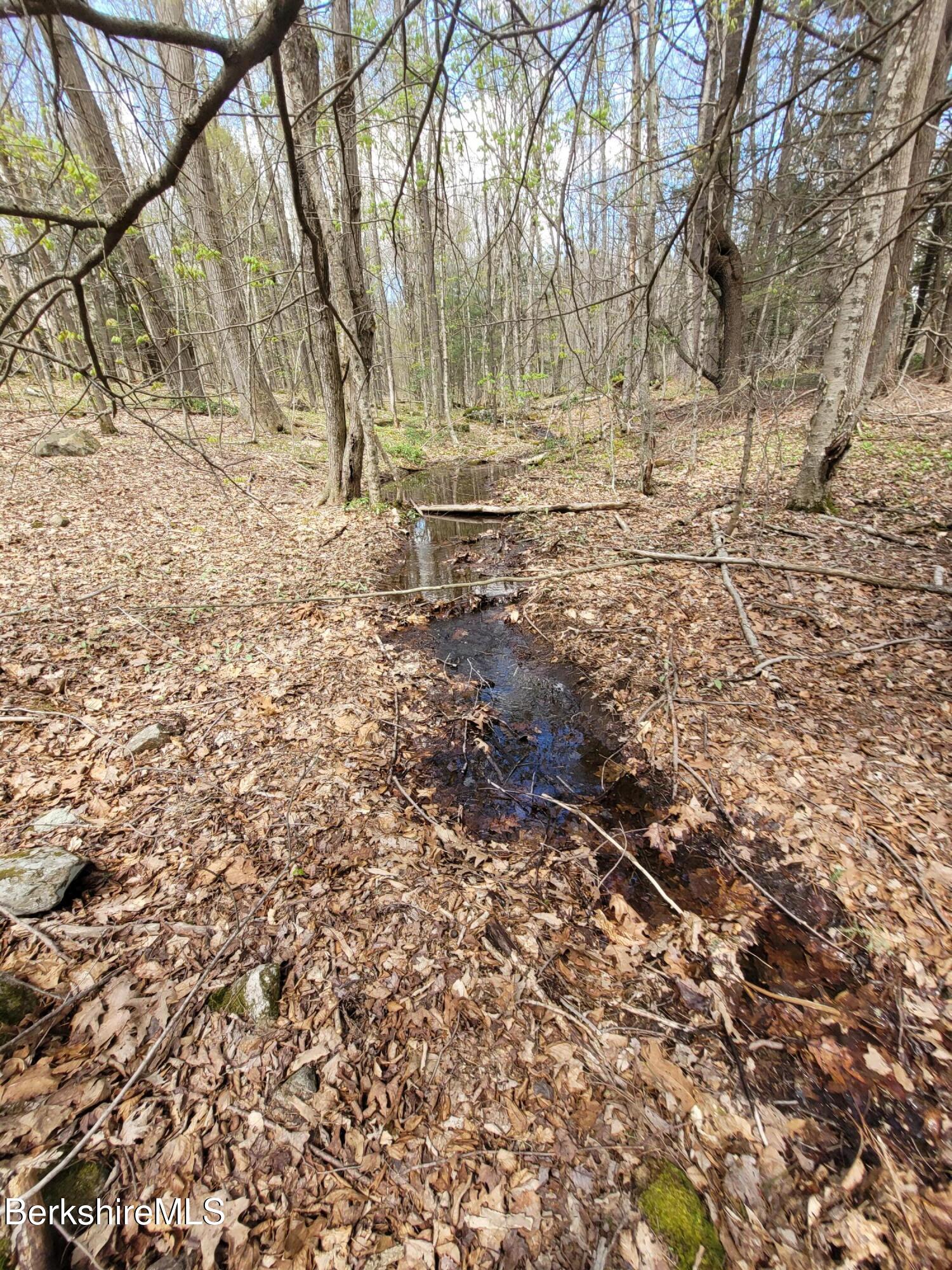 Lot 3 Town Hill Road Sandisfield, MA 01255 - Photo 6 of 16 a backyard of a house with lots of green space