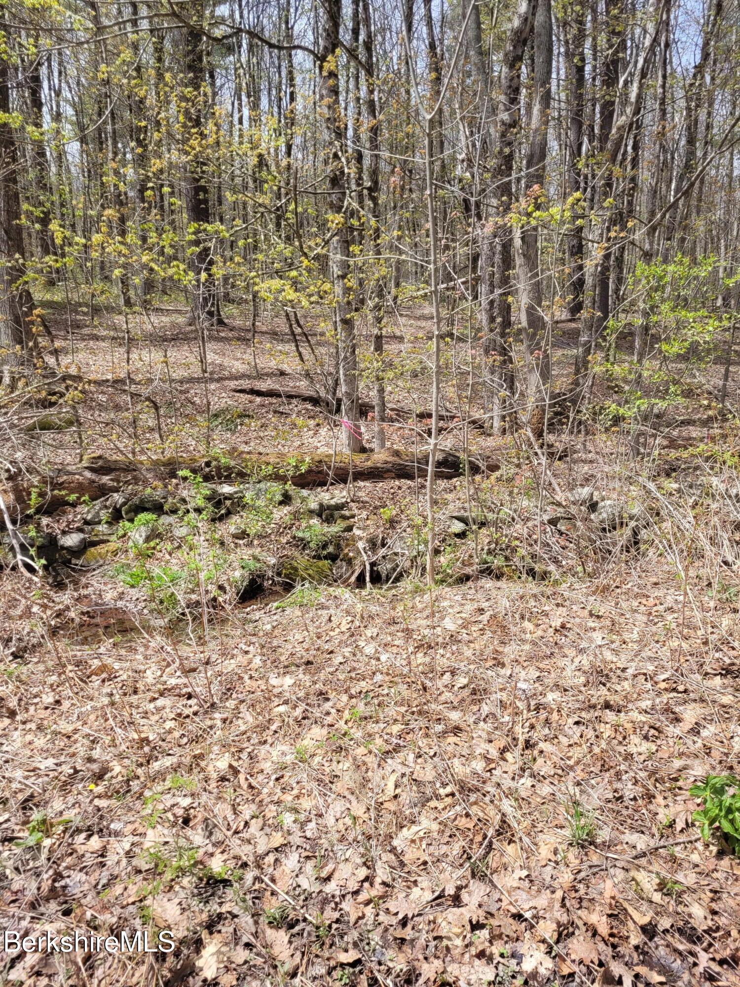 Lot 3 Town Hill Road Sandisfield, MA 01255 - Photo 10 of 16 a view of a yard