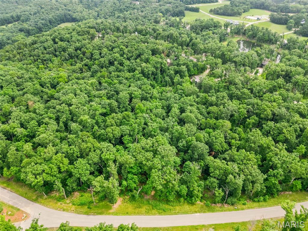 2835 Tyrolean Way Drive Innsbrook, MO 63390 - Photo 3 of 9