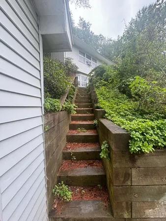 a view of a pathway of a house with plants