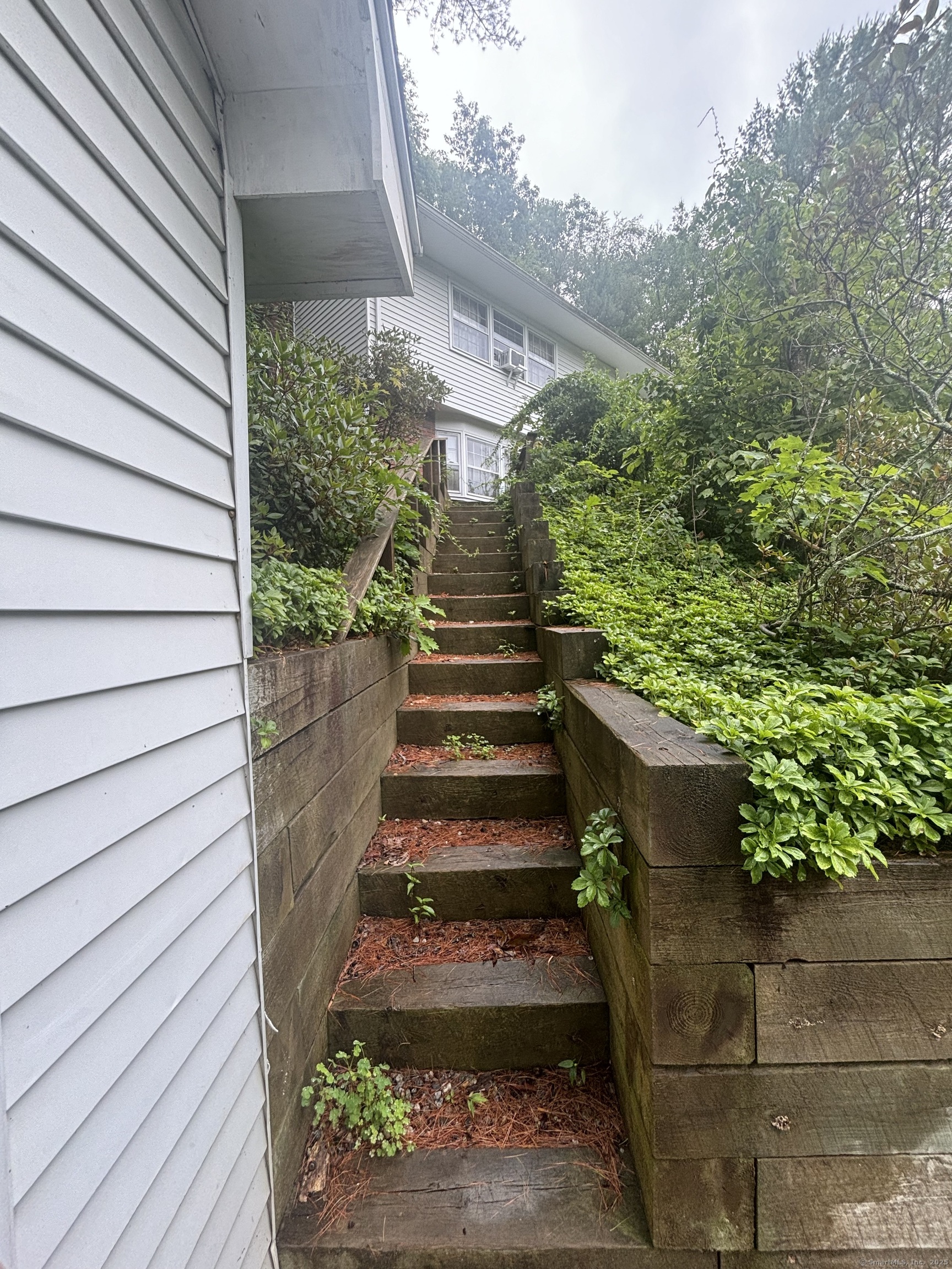 388 Chaffeeville Road Mansfield, CT 06268 - Photo 4 of 13 a view of a pathway of a house with plants