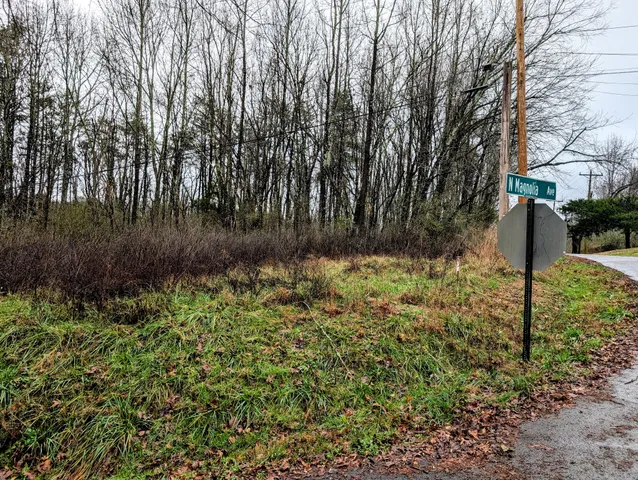a street view with wooden fence