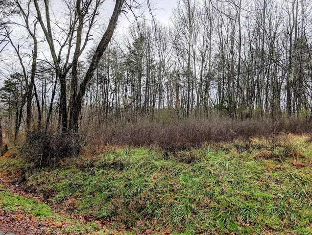 a view of backyard with green space