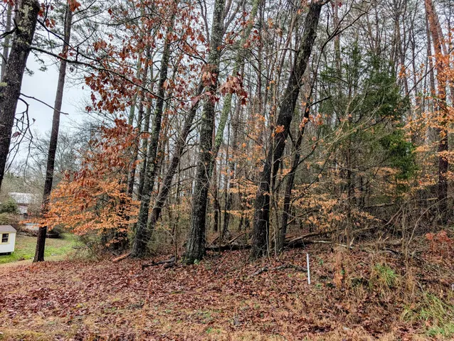a backyard of a house with lots of trees