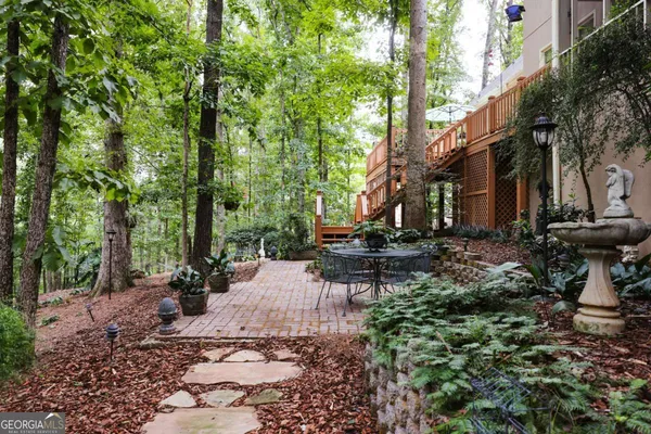 a view of a forest with trees