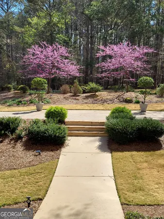 a view of swimming pool with lawn chairs and plants