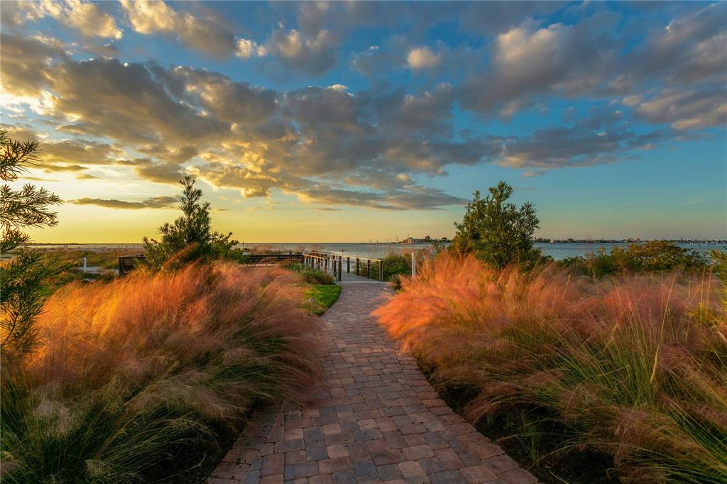 800 Collany Road, Unit 303 St. Petersburg, FL 33715 - Photo 44 of 48 a view of a lake from a yard