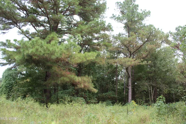 $1,520,000 | 0 Mt Gilead Road, Holly Springs, MS 38635