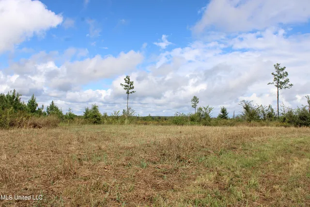 $1,520,000 | 0 Mt Gilead Road, Holly Springs, MS 38635