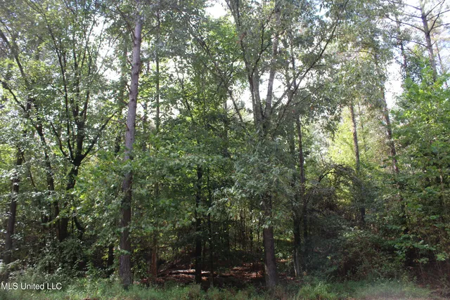 $1,520,000 | 0 Mt Gilead Road, Holly Springs, MS 38635