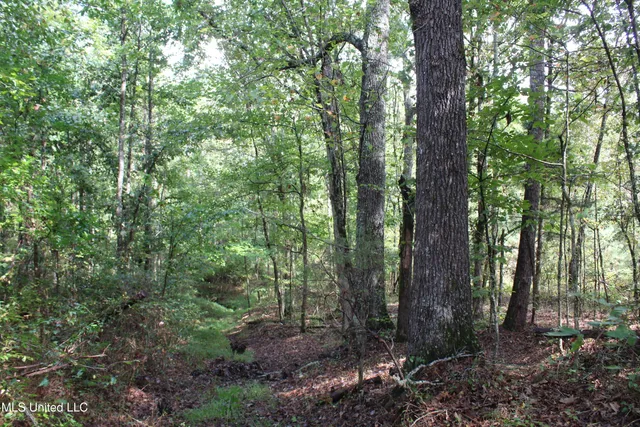 $1,520,000 | 0 Mt Gilead Road, Holly Springs, MS 38635