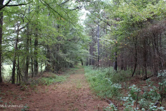 $1,520,000 | 0 Mt Gilead Road, Holly Springs, MS 38635