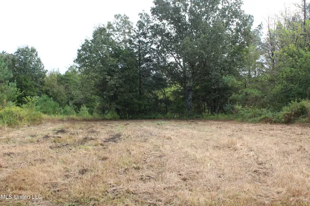 $1,520,000 | 0 Mt Gilead Road, Holly Springs, MS 38635