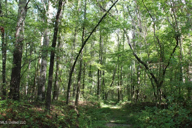 $1,520,000 | 0 Mt Gilead Road, Holly Springs, MS 38635